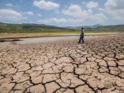 Probabilidad de que El Niño aparezca es del 82 %