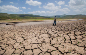 Probabilidad de que El Niño aparezca es del 82 %