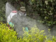 Política antidrogas de EE.UU.: Colombia a mostrar resultados concretos