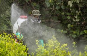 Política antidrogas de EE.UU.: Colombia a mostrar resultados concretos