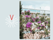 Universidad EIA: redefiniendo la toma de decisiones
