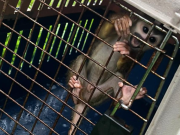 Cárcel a influencer de Puerto Asís por presunto maltrato animal
