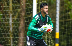 Frente a Costa Rica, una ‘amistosa’ despedida de la Selección Colombia