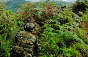 Seis disidentes de las Farc fueron abatidos por el Ejército en el Cauca