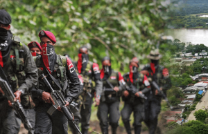 Cese al fuego unilateral para elecciones anunció Eln