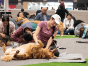 Expopet abre sus puertas en Corferias del 13 al 17 de agosto
