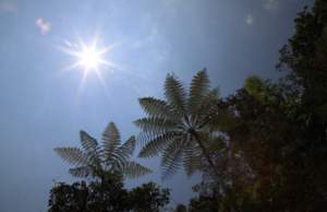 Alerta ante posible llegada del fenómeno de El Niño