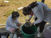 Alerta: microplásticos ya están en gusanos marinos