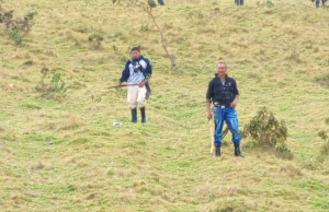 Enfrentamientos entre indígenas Misak y Nasa en Cauca deja seis muertos
