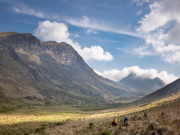 Biodiversidad en la agenda de candidatos presidenciables