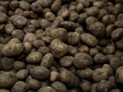 ¿Cuánto subieron los precios mayoristas de alimentos frescos en Colombia?