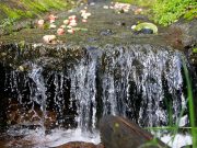 El agua subterránea