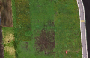 En noviembre iniciarán obras de proyecto VIP Renace en Cota