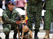 Abren convocatoria alterna para definir situación militar en Colombia
