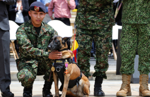 Abren convocatoria alterna para definir situación militar en Colombia