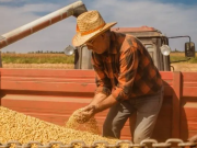 Alertan sobre riesgos en ejecución de Áreas para Producción de Alimentos