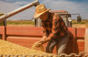 Alertan sobre riesgos en ejecución de Áreas para Producción de Alimentos