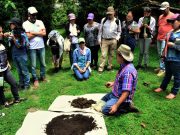Del campo al aula: un pregrado para la ruralidad