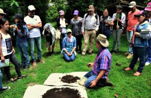 Del campo al aula: un pregrado para la ruralidad
