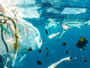 5 cosas que se necesita saber sobre plásticos en los océanos