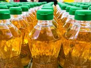 Aceite de palma, coco y soya estarían detrás de más extinciones de especies de las que se creía, según estudio