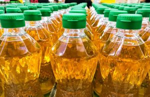 Aceite de palma, coco y soya estarían detrás de más extinciones de especies de las que se creía, según estudio