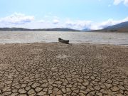 Colombia podría enfrentar uno de los fenómenos de El Niño más intensos en más de un siglo: así podría impactar al país, según expertos
