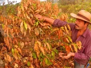 Gobierno confirma el inicio de El Niño en Colombia: llegó tres meses antes de lo esperado y podría convertirse en uno de los más intensos desde 1950