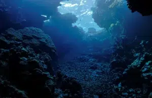 Colombia participará por primera vez en una expedición para explorar las profundidades del Caribe a más de 4.000 metros