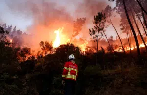 Informe advierte que Europa vivió en 2025 su año más extremo: calor récord, glaciares en retroceso e incendios históricos