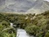 El ciclo global del agua, un activo mundial en riesgo crítico