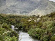 El ciclo global del agua, un activo mundial en riesgo crítico