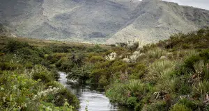 El ciclo global del agua, un activo mundial en riesgo crítico