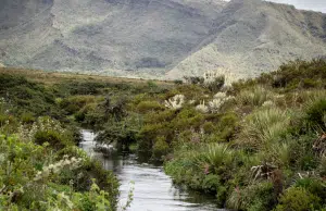 El ciclo global del agua, un activo mundial en riesgo crítico