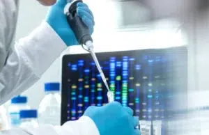 AlgaeVisión: el proyecto universitario que logró detectar microalgas con inteligencia artificial y alta precisión