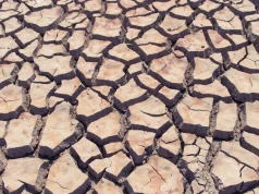 La NOAA declara oficialmente el inicio del fenómeno de El Niño y advierte que podría convertirse en uno de los más fuertes de la historia