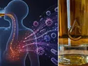 Dejar de beber es la única opción: nuevo estudio advierte que el alcohol aumenta el riesgo de cáncer y otras enfermedades incluso si usted toma poco