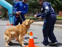 Ciclovía de Bogotá tendrá estaciones para mascotas hasta 2026: orientación veterinaria, nutrición y actividades gratuitas
