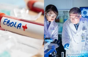 Nuevo brote de ébola en 2026: IAVI, Moderna y Oxford desarrollan tres vacunas a contrarreloj por registro de más de 900 casos y 200 muertos
