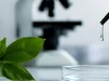 Nanopartículas magnéticas y mensajeros de plantas: la apuesta europea que busca revolucionar la lucha contra el cáncer