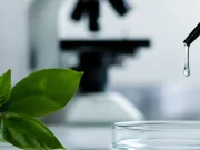Nanopartículas magnéticas y mensajeros de plantas: la apuesta europea que busca revolucionar la lucha contra el cáncer