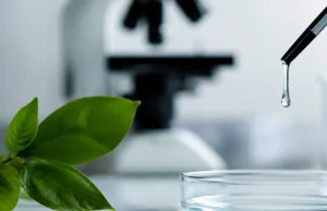 Nanopartículas magnéticas y mensajeros de plantas: la apuesta europea que busca revolucionar la lucha contra el cáncer