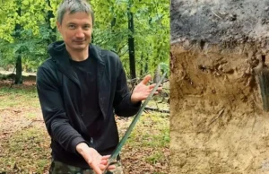 Un aficionado a la detección de metales salió a buscar tesoros en un bosque y descubrió una espada de casi 3.000 años de antigüedad en Polonia