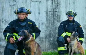 Rojo, Candy, Dasta y Tamy: los héroes de cuatro patas que Colombia envió para ayudar en las labores de búsqueda tras terremotos en Venezuela