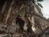 Qué hacer antes, durante y después de un terremoto: recomendaciones para proteger a toda la familia