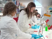 Una conexión defectuosa entre cerebro e hígado podría ser causa de un fallo en el crecimiento infantil, según un estudio