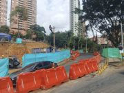 Arboles compensados en Linares