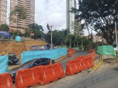 Arboles compensados en Linares