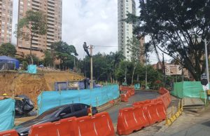 Arboles compensados en Linares