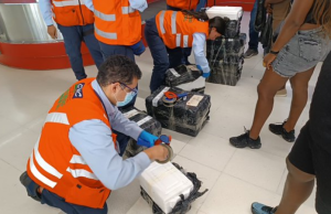 Autoridades incautan carne de armadillo y guagua en el Valle del Cauca